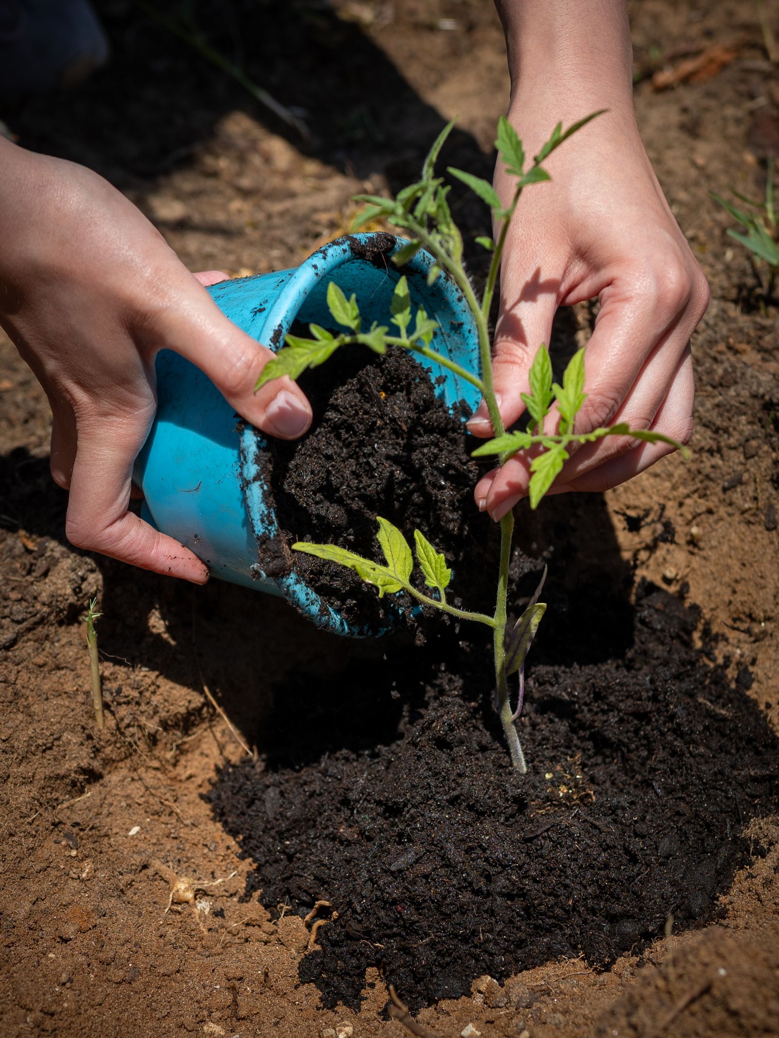 We Can't Wish for Impact: We Have to Facilitate It